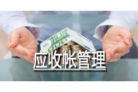 讨债的来家里怎么处理：应对策略与案例分析