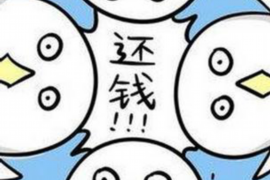 物业月租车催收信息：如何高效应对欠费问题