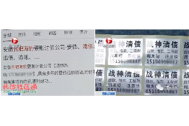 举报催收需要什么资料？全面解析与案例分享