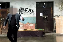 蛋花花催收是哪里号码？