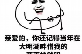 苏州法信催收公司：专业高效，助力债务清收