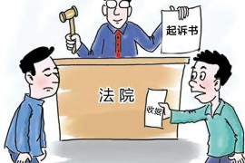 浙江省乐清讨债律师费用：全面解析与合理选择