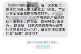 蚂蚁借呗催收人员：揭秘背后的故事与应对策略