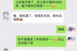 恶搞愤怒的元首讨债：一场另类的债务追讨大战